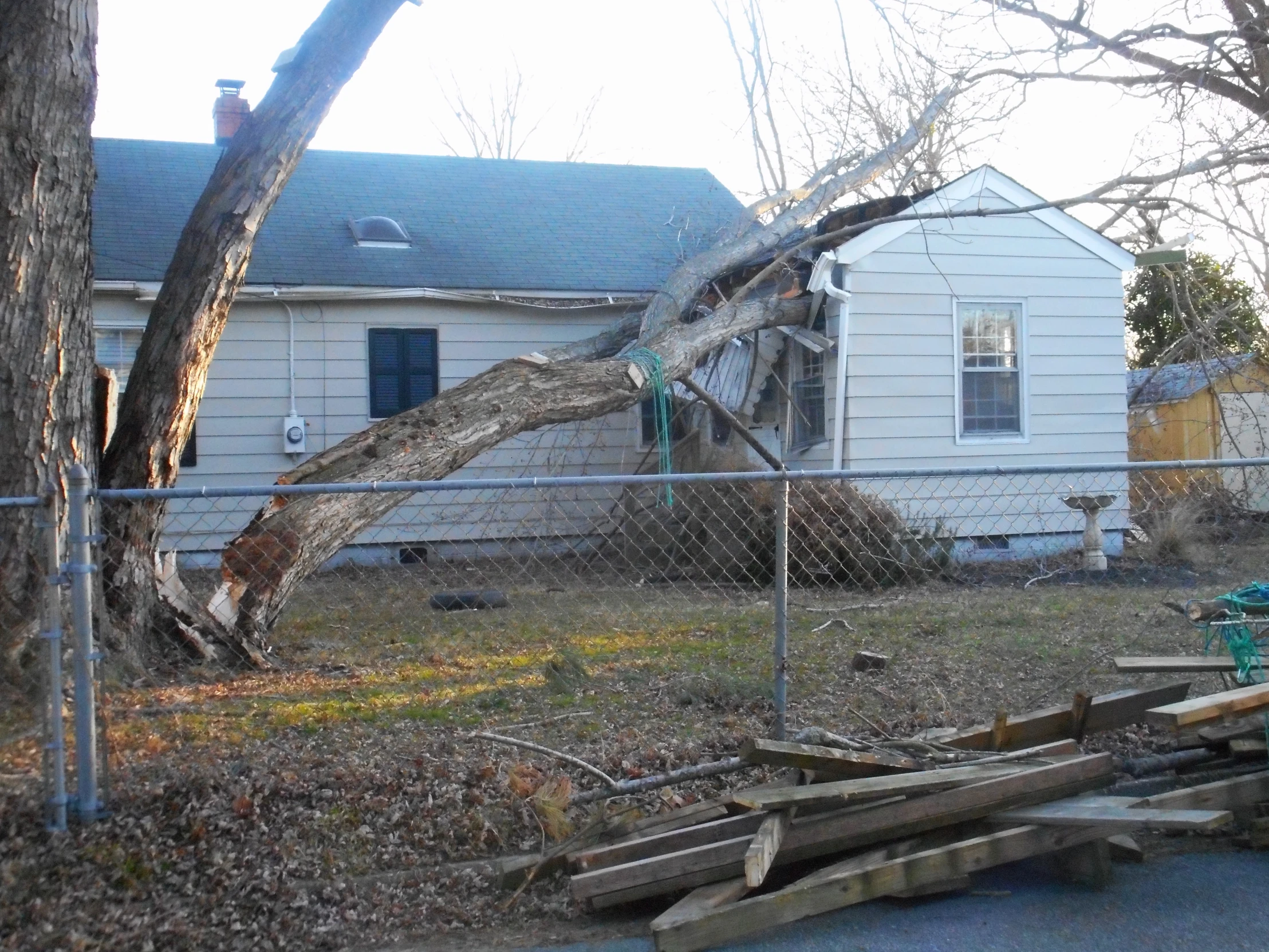 a house has its yard broken and its tree leans against the house