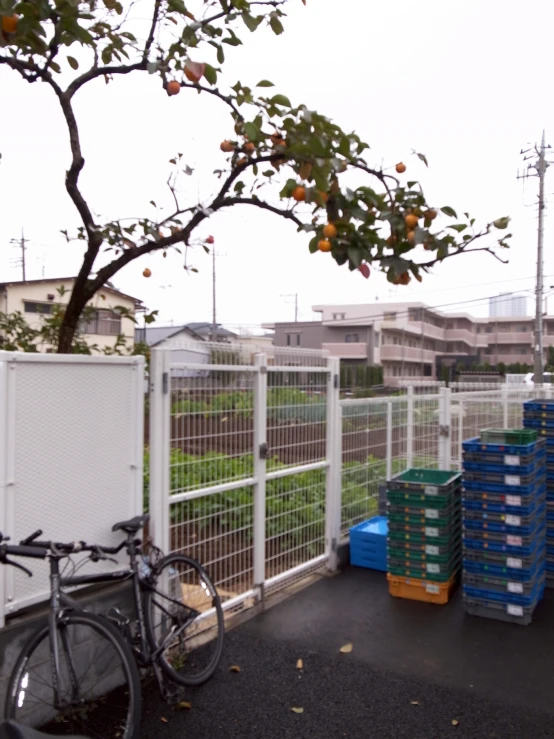 a bicycle parked by some crates and trees