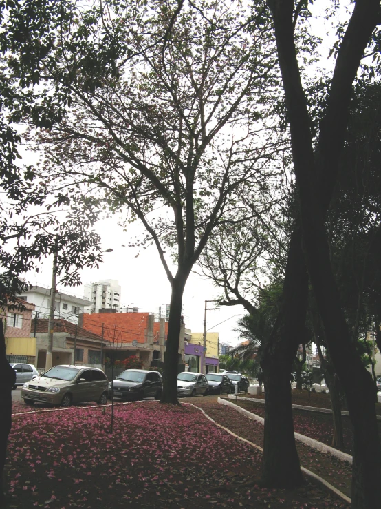 a man walking down a sidewalk near a tree