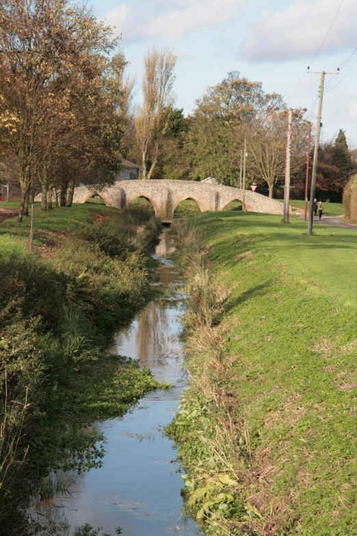 the landscape is full of trees and water