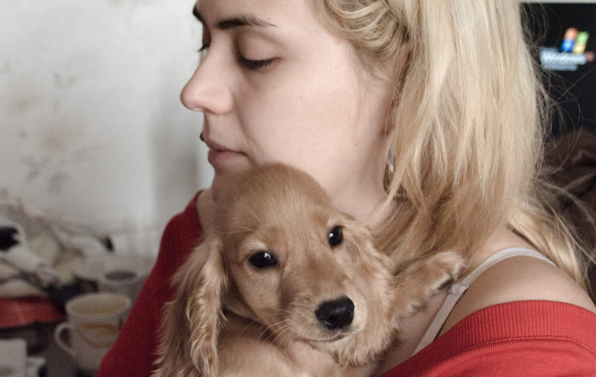 a woman holds a little puppy on her arm