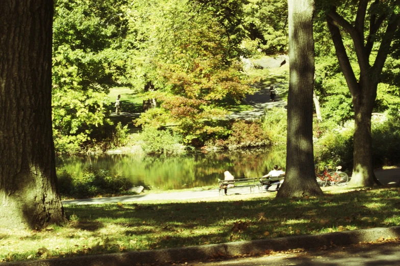 a park bench near a river and trees