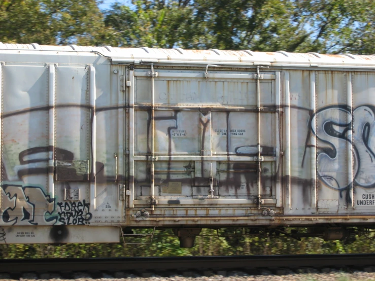 graffiti on the side of a train car with trees in the background