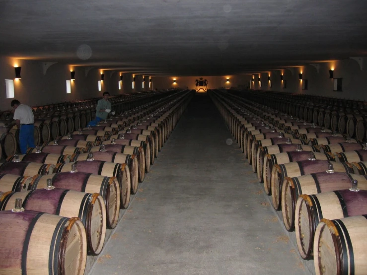 wine barrels are lined up in a row