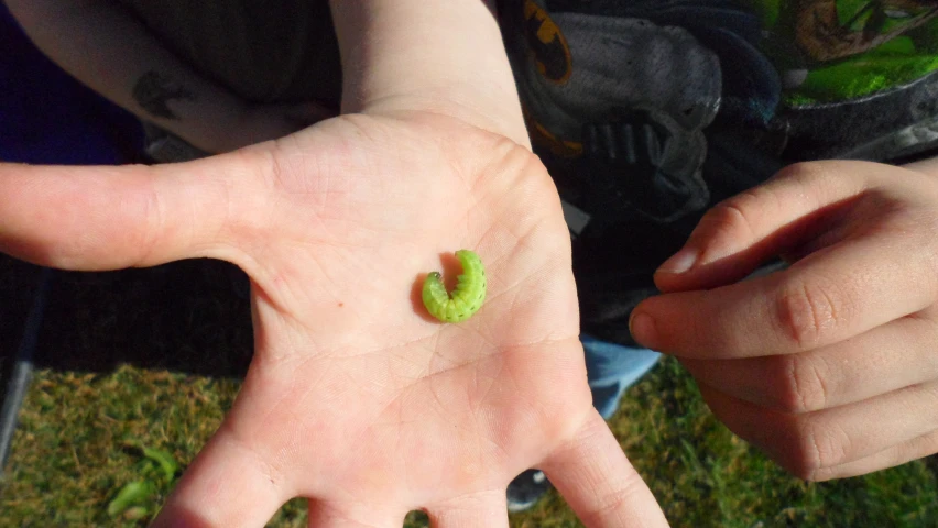 an image of a pair of hands holding some balls