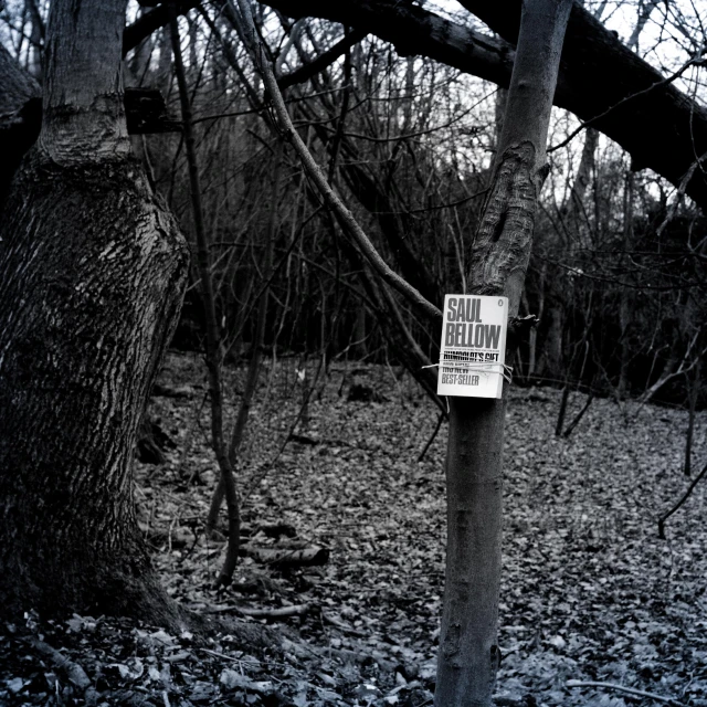 black and white po of sign in woods with trees