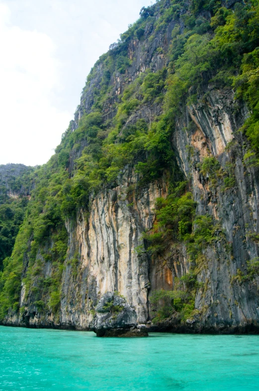 some mountains and trees along the water