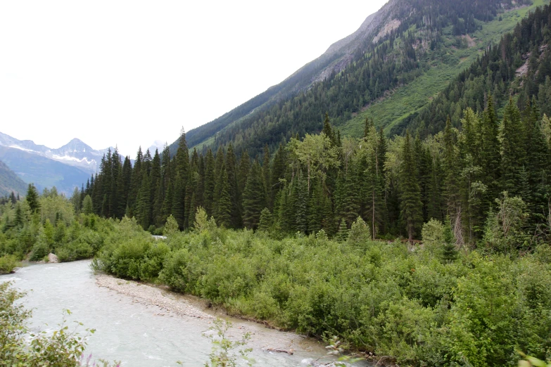 a river flows through an area of wooded hills