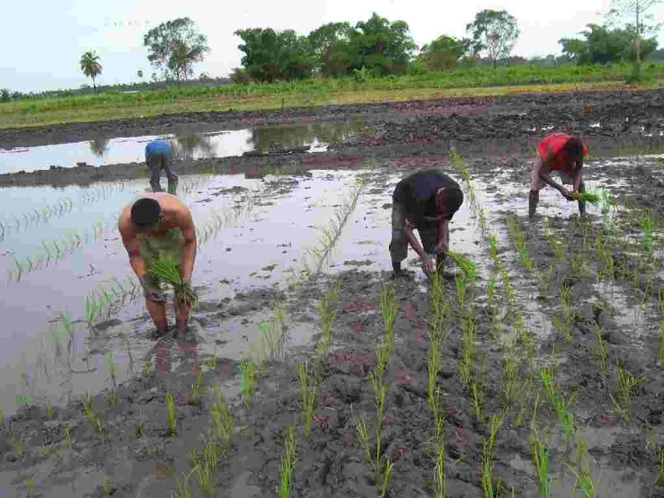 three men in a small farm standing next to water