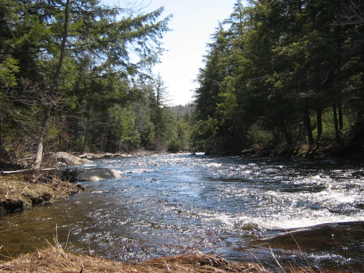 a person sitting by the edge of a stream