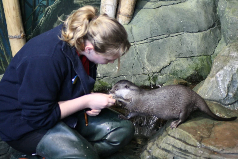 a woman kneeling down to feed an otter a stick