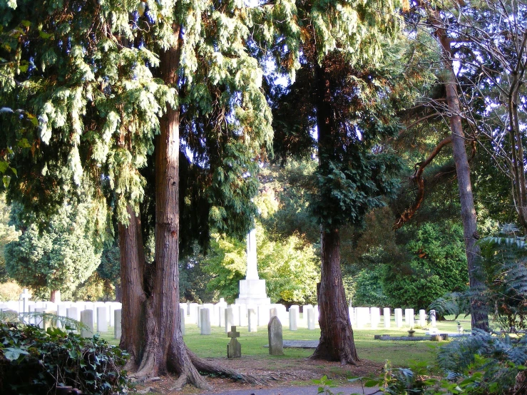 an old cemetery with two white headstones