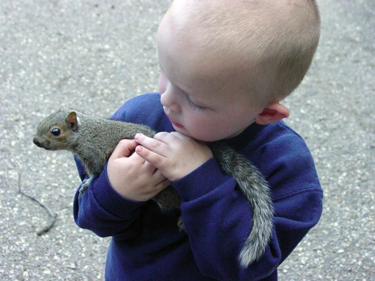small boy looking down at squirrel on a hand