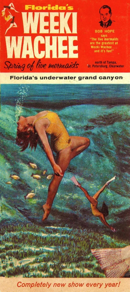 the cover of an old book about a woman in yellow shirt