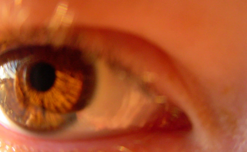 an extreme close up of a brown human eye