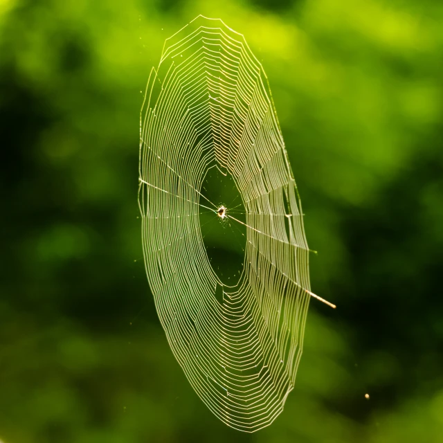 a spider web on the side of a window