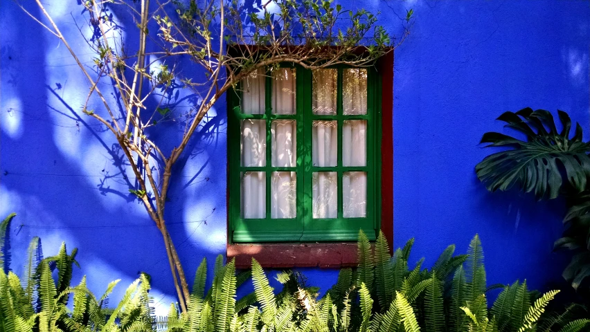 a window with a green frame and green plants near it
