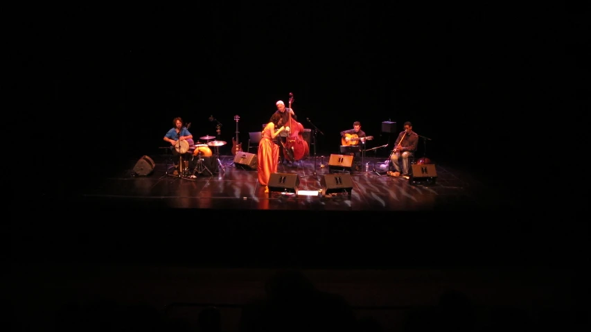 a group of people on stage performing a musical performance