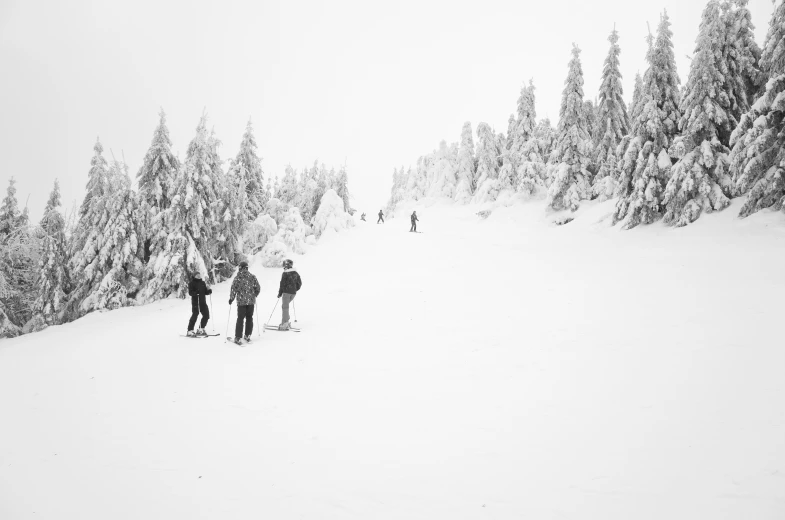 three people are skiing down a snow - covered ski slope