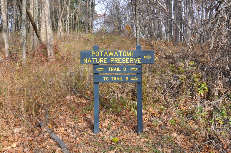 a blue sign pointing to a trail in the woods