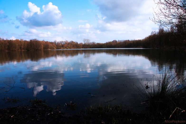 a lake surrounded by lots of trees and clouds