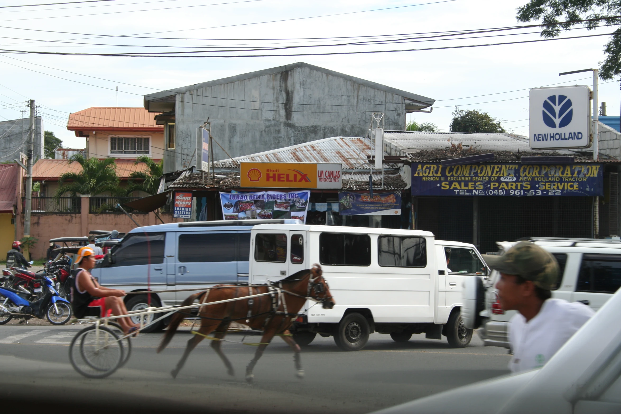 a person on a horse drawn carriage across the street