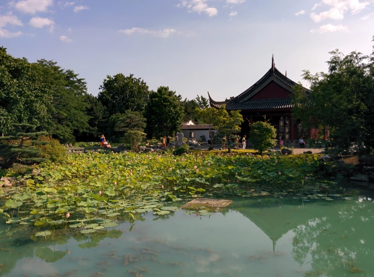 several people in the water surrounded by lily pads