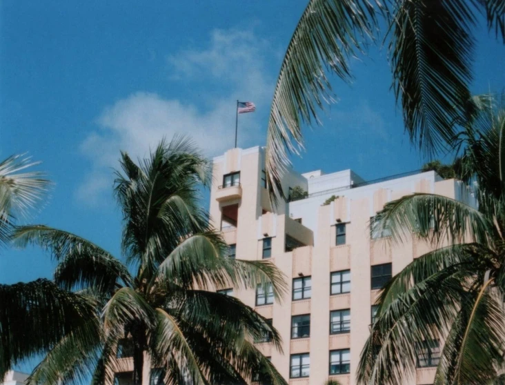 the building has a flag on top and some palm trees