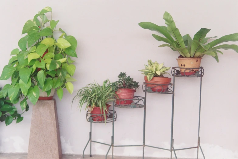 a few potted plants sit on metal stand