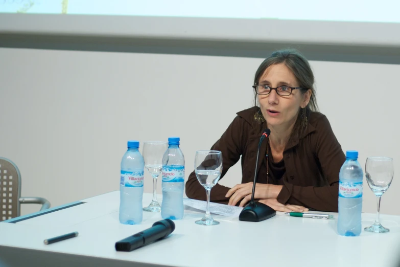 a woman is sitting at a table talking with some wine glasses and water bottles