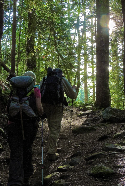 two people walk on a trail through the woods