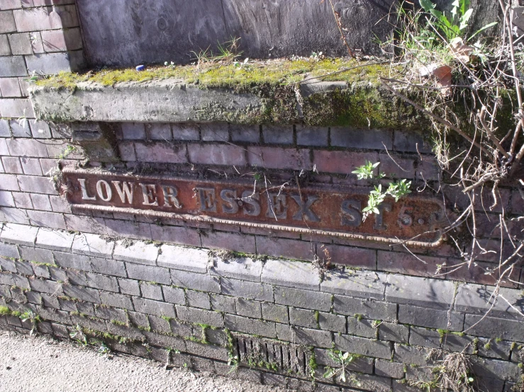 a close up of a brick wall near bushes