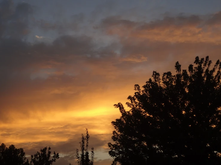 the sun sets over trees, as seen from a distance