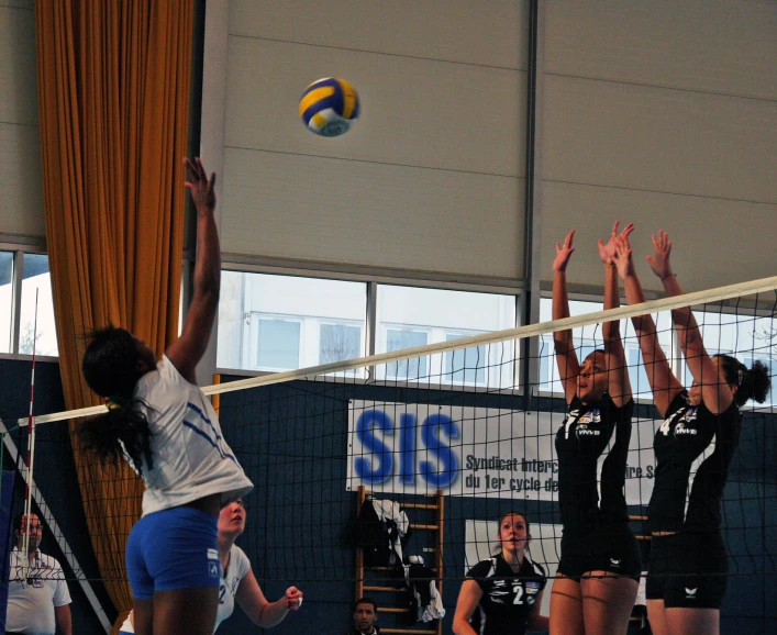 a group of women are on a court playing volleyball