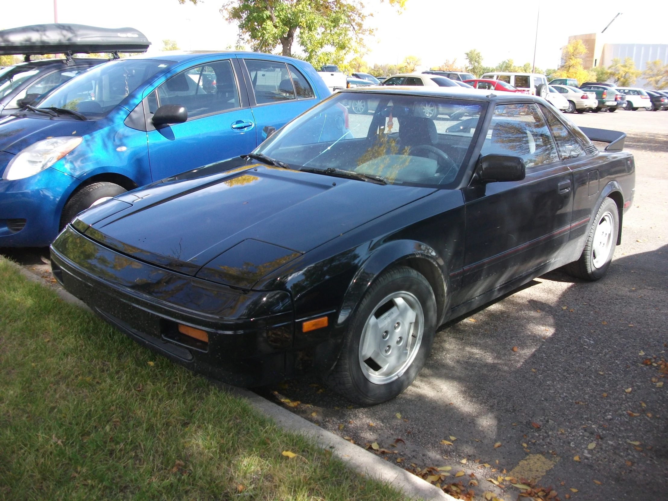 the back end of a black car parked on grass