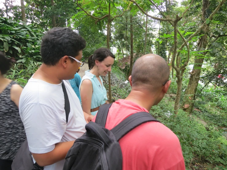 group of people observing plants and trees in forest