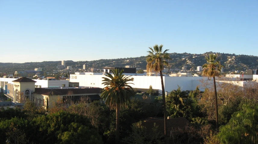 view from the city of a small town, palm trees and a mountain in background