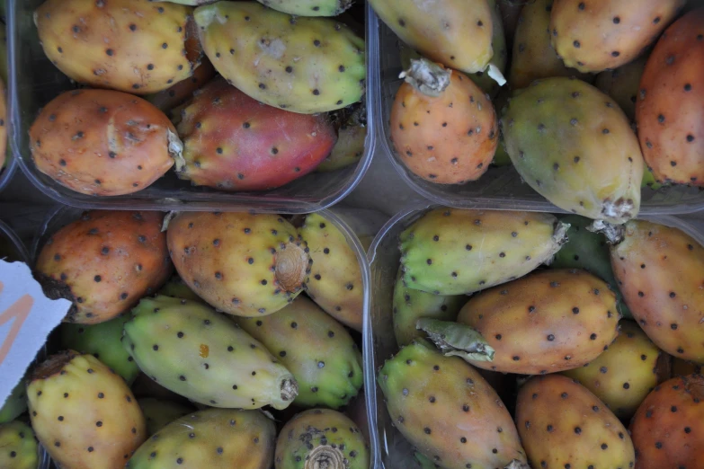 an image of a lot of fruit in bins