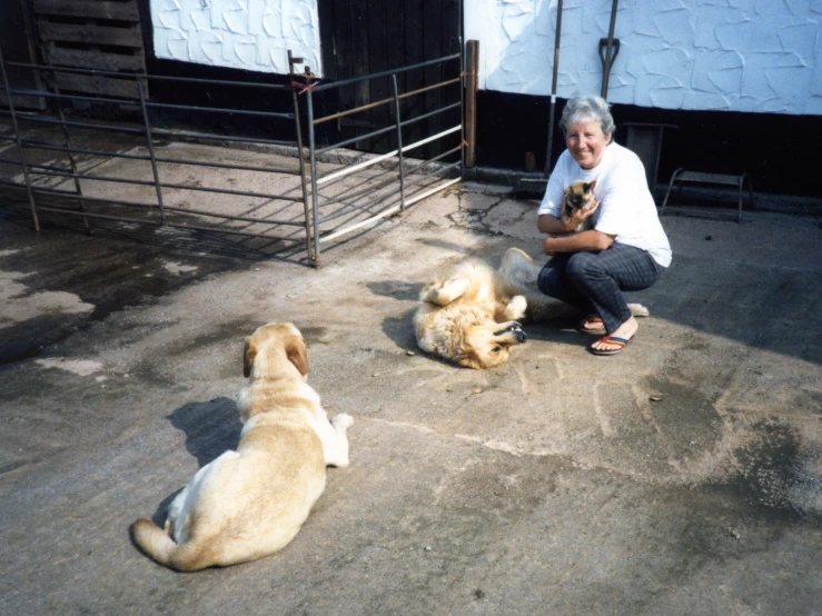 the woman with two dogs has a small brown dog