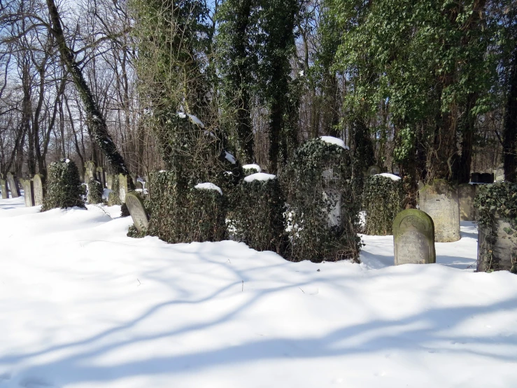 the white snow has been blanketed all over this old graveyard