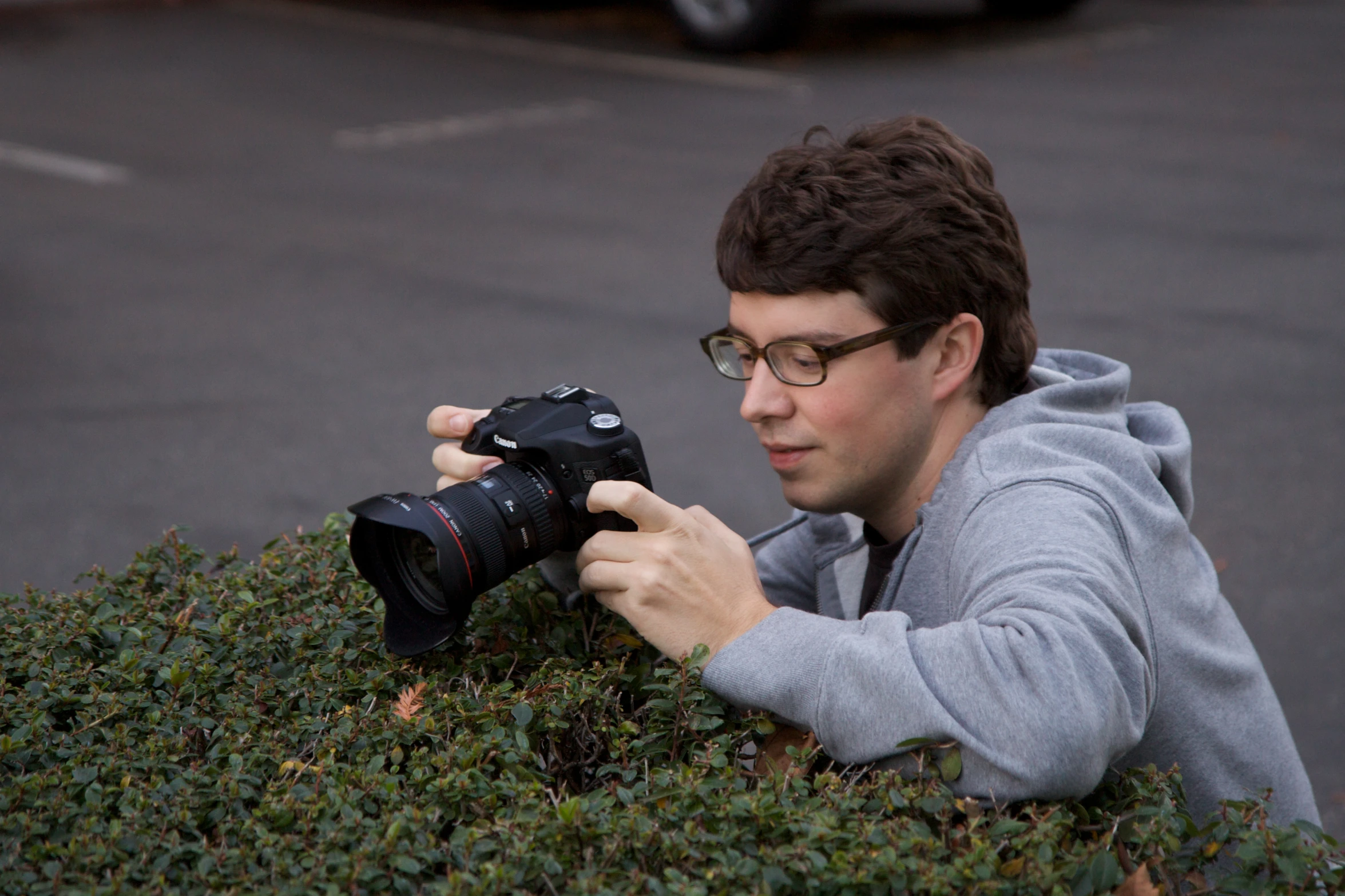 a person taking pictures of bushes with a camera