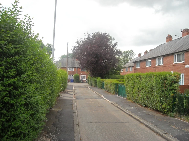 a sidewalk lined with trees, shrubs and building