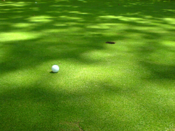 a white ball sitting on top of a lush green field