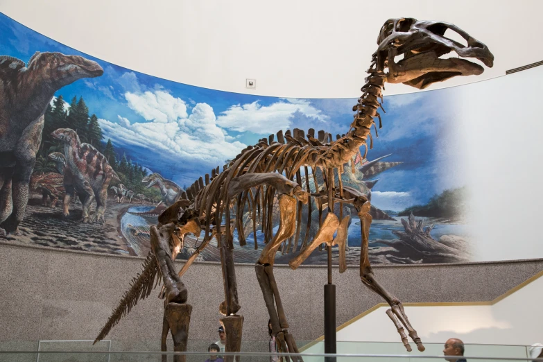 a dinosaur skeleton and two gun shells inside of a museum