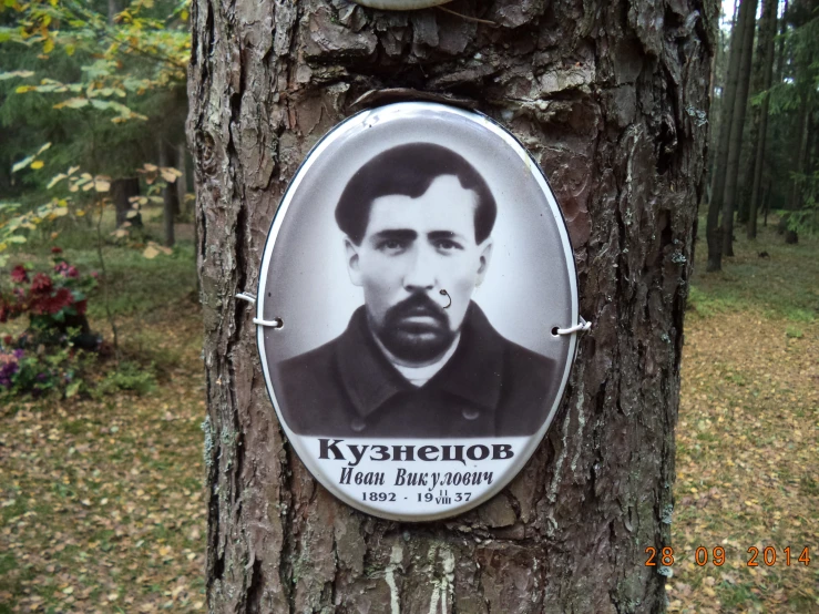 a portrait of an russian communist sitting on a tree in a forest