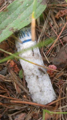 a plastic tube covered in white stuff surrounded by leaves