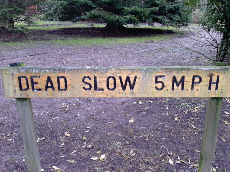 the sign says dead slow 5 mph