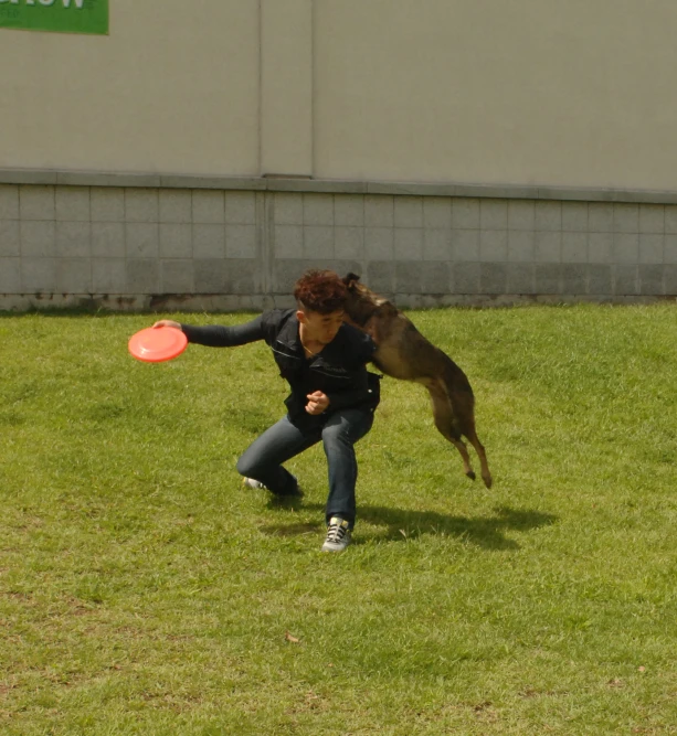 a woman in a field catching a frisbee while her dog watches