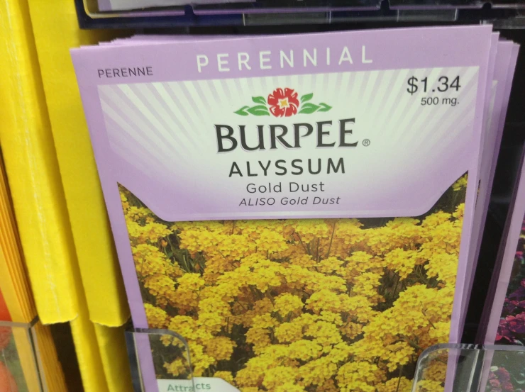 the price label for purple alyssum sits on a retail display