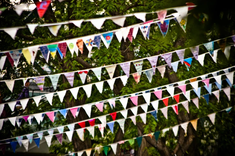 many trees with white and multi colored flags on them